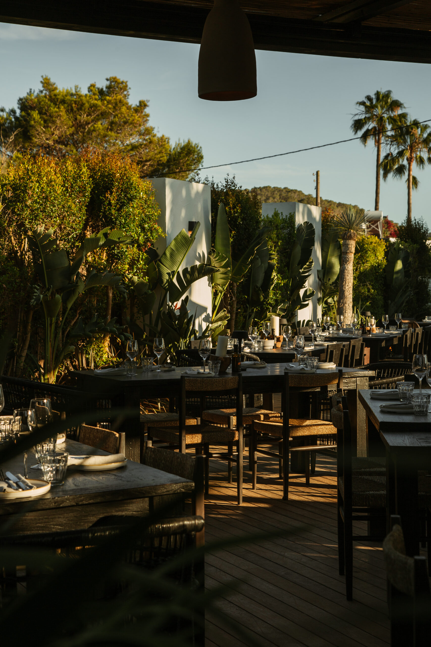 Interior restaurant dining with greenery at The Main Ibiza