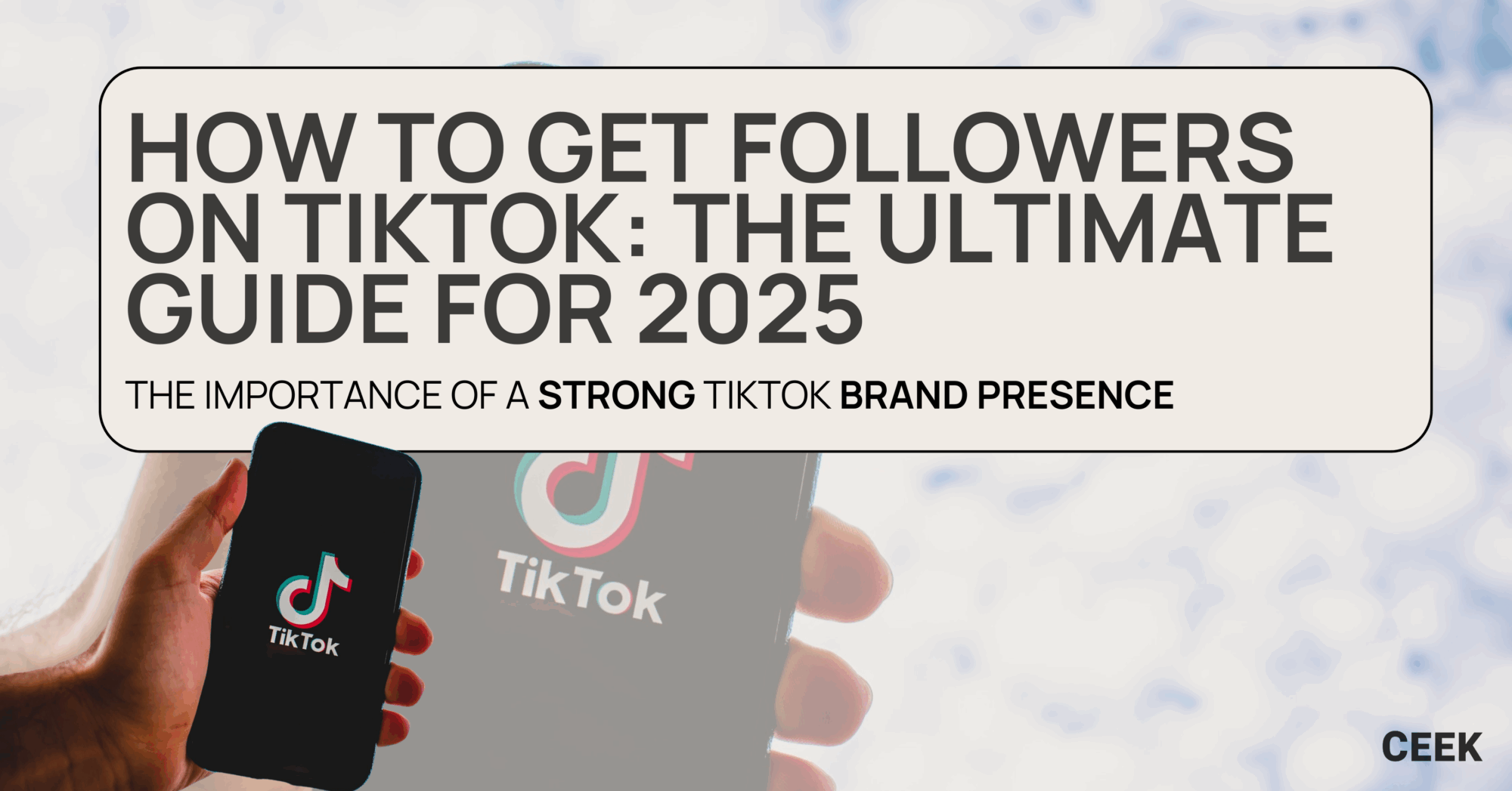 Grow TikTok followers blog