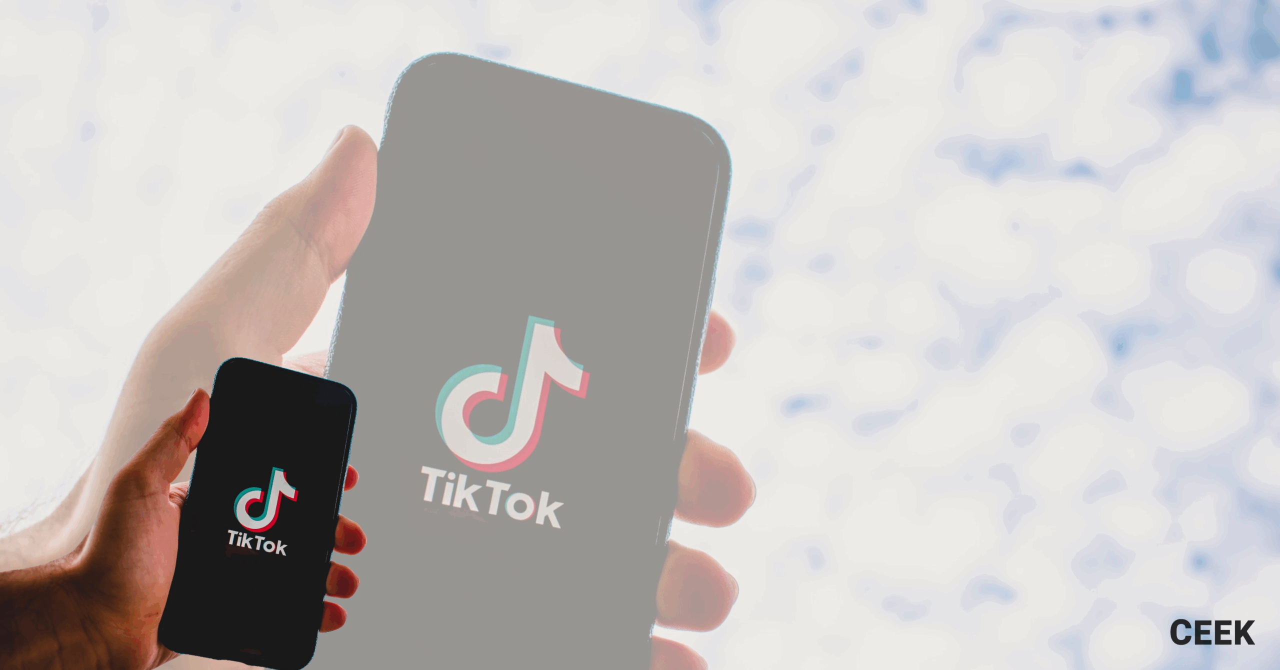 Grow TikTok followers blog